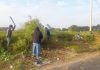 TRABAJOS DE ROZAMIENTO DE CAMINOS EN CARRETERA MORROPE – CRUZ DEL MEDANO.